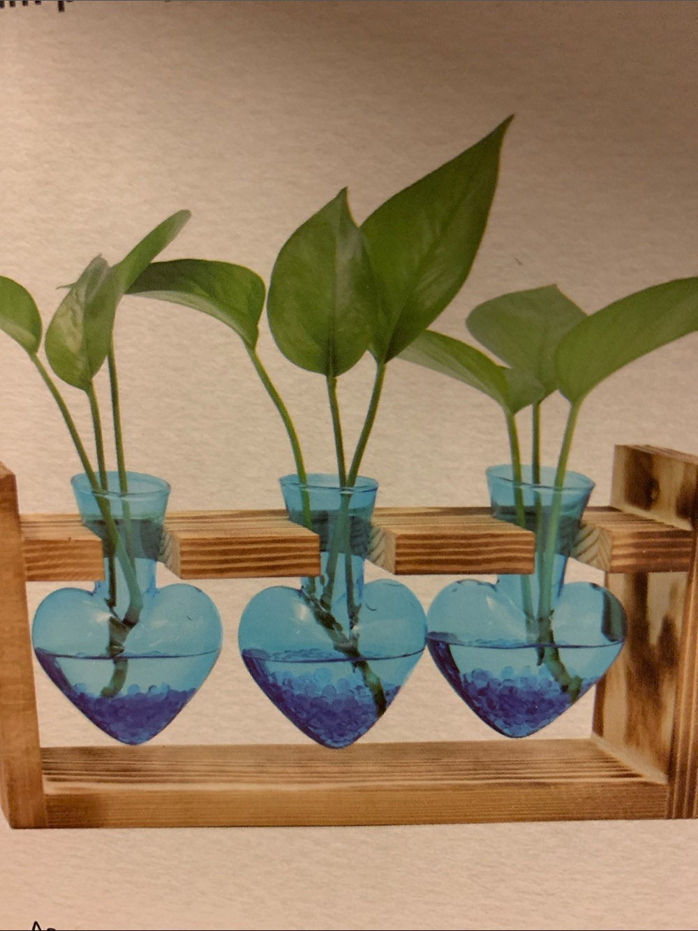 Heart Glass Vases in Blue - Decorative Home Accent